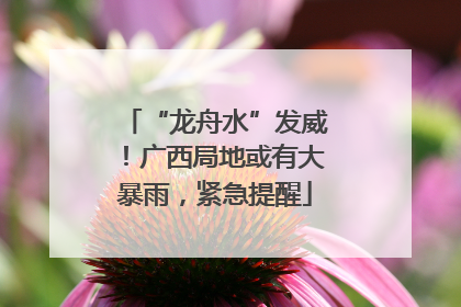 “龙舟水”发威！广西局地或有大暴雨，紧急提醒