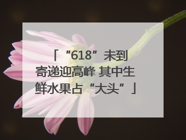 “618”未到 寄递迎高峰 其中生鲜水果占“大头”
