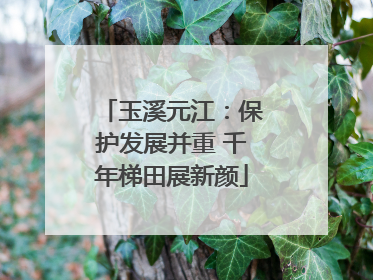 玉溪元江：保护发展并重 千年梯田展新颜