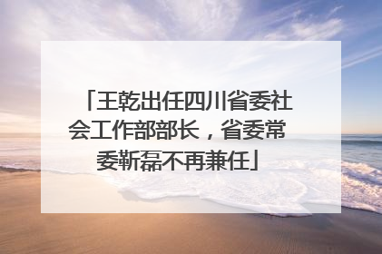 王乾出任四川省委社会工作部部长，省委常委靳磊不再兼任
