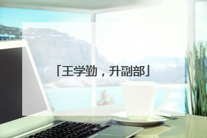 王学勤，升副部