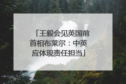 王毅会见英国前首相布莱尔：中英应体现责任担当