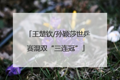 王楚钦/孙颖莎世乒赛混双“三连冠”