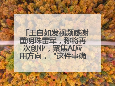 王自如发视频感谢董明珠雷军，称将再次创业，聚焦AI应用方向，“这件事确实来钱快”