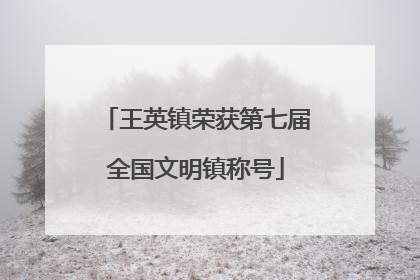 王英镇荣获第七届全国文明镇称号
