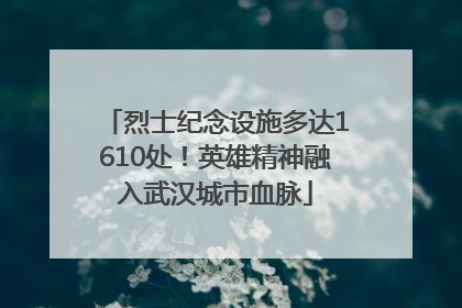 烈士纪念设施多达1610处！英雄精神融入武汉城市血脉