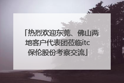 热烈欢迎东莞、佛山两地客户代表团莅临itc保伦股份考察交流