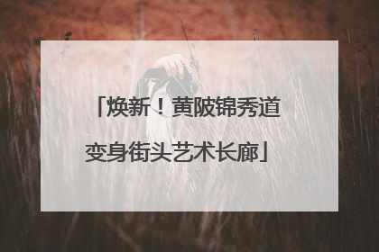 焕新！黄陂锦秀道变身街头艺术长廊