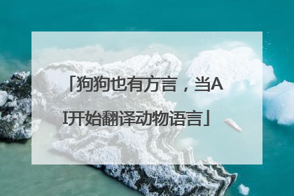 狗狗也有方言，当AI开始翻译动物语言