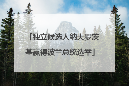 独立候选人纳夫罗茨基赢得波兰总统选举