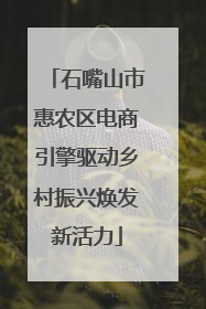 石嘴山市惠农区电商引擎驱动乡村振兴焕发新活力