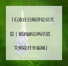 石家庄日报评论员文章｜德润滹沱两岸清 文明花开幸福城