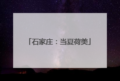 石家庄：当夏荷美