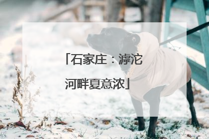 石家庄：滹沱河畔夏意浓