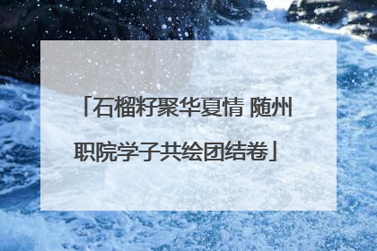 石榴籽聚华夏情 随州职院学子共绘团结卷