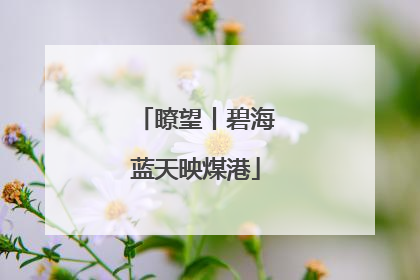瞭望丨碧海蓝天映煤港