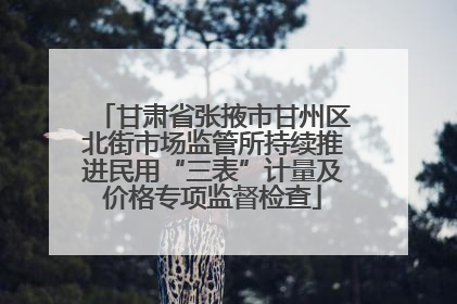 甘肃省张掖市甘州区北街市场监管所持续推进民用“三表”计量及价格专项监督检查