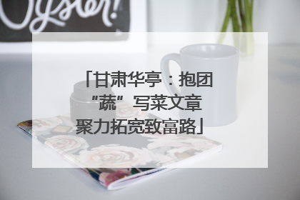 甘肃华亭：抱团“蔬”写菜文章 聚力拓宽致富路