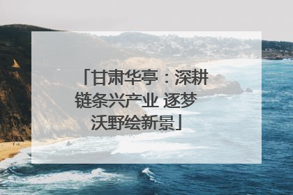 甘肃华亭：深耕链条兴产业 逐梦沃野绘新景