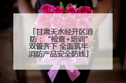甘肃天水经开区消防：“检查+培训”双管齐下 全面筑牢消防产品安全防线
