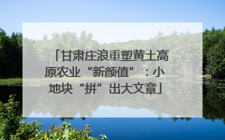 甘肃庄浪重塑黄土高原农业“新颜值”：小地块“拼”出大文章