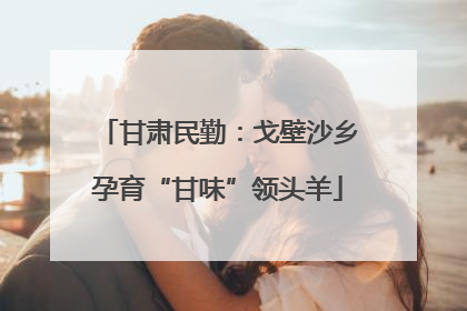 甘肃民勤：戈壁沙乡孕育“甘味”领头羊
