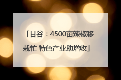 甘谷：4500亩辣椒移栽忙 特色产业助增收