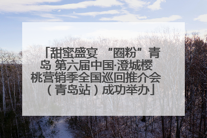 甜蜜盛宴 “圈粉”青岛 第六届中国·澄城樱桃营销季全国巡回推介会（青岛站）成功举办