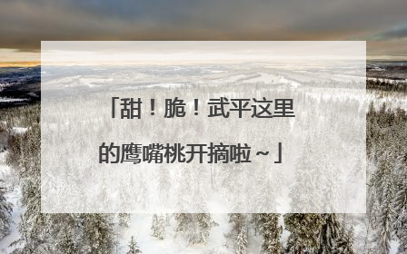 甜！脆！武平这里的鹰嘴桃开摘啦～