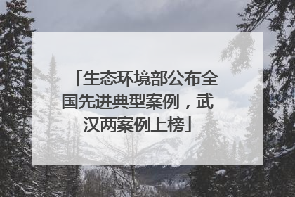 生态环境部公布全国先进典型案例，武汉两案例上榜