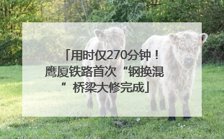 用时仅270分钟！鹰厦铁路首次“钢换混”桥梁大修完成