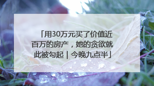 用30万元买了价值近百万的房产，她的贪欲就此被勾起｜今晚九点半