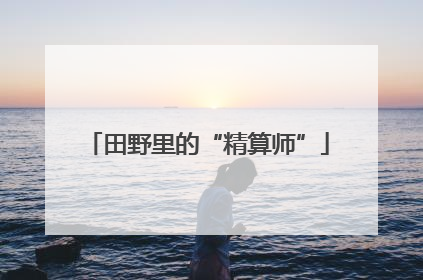 田野里的“精算师”