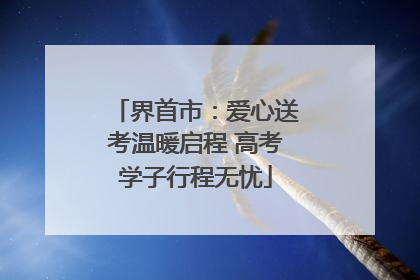 界首市：爱心送考温暖启程 高考学子行程无忧