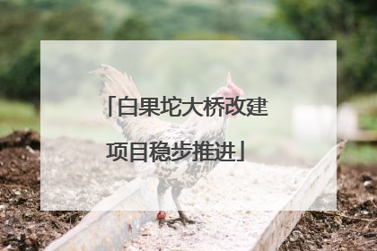 白果坨大桥改建项目稳步推进