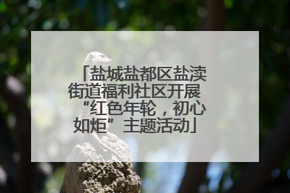 盐城盐都区盐渎街道福利社区开展“红色年轮，初心如炬”主题活动
