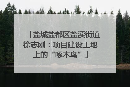盐城盐都区盐渎街道徐志刚：项目建设工地上的“啄木鸟”