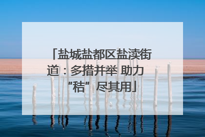 盐城盐都区盐渎街道：多措并举 助力“秸”尽其用
