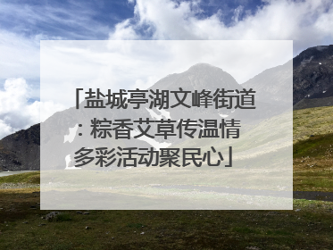 盐城亭湖文峰街道：粽香艾草传温情 多彩活动聚民心