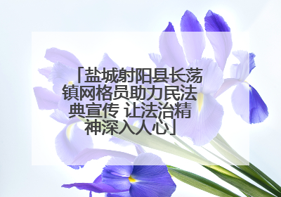 盐城射阳县长荡镇网格员助力民法典宣传 让法治精神深入人心