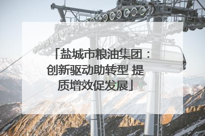 盐城市粮油集团：创新驱动助转型 提质增效促发展