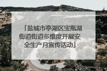 盐城市亭湖区宝瓶湖街道街道多维度开展安全生产月宣传活动