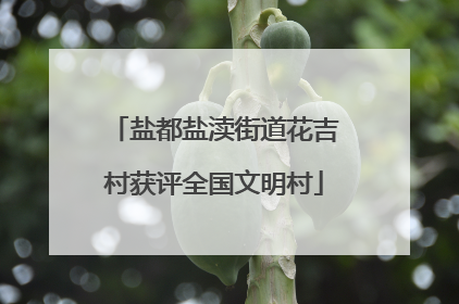 盐都盐渎街道花吉村获评全国文明村