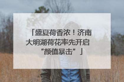 盛夏荷香浓！济南大明湖荷花率先开启“颜值暴击”