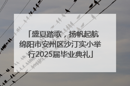 盛夏踏歌，扬帆起航 绵阳市安州区沙汀实小举行2025届毕业典礼