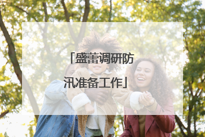 盛蕾调研防汛准备工作