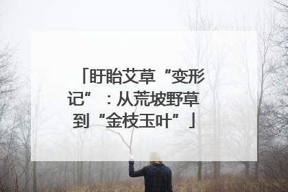 盱眙艾草“变形记”：从荒坡野草到“金枝玉叶”