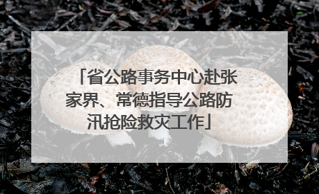 省公路事务中心赴张家界、常德指导公路防汛抢险救灾工作