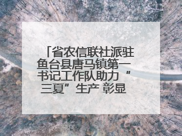 省农信联社派驻鱼台县唐马镇第一书记工作队助力“三夏”生产 彰显为民担当