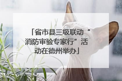 省市县三级联动“消防审验专家行”活动在德州举办
